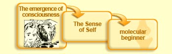 L'&eacute;mergence de la conscience